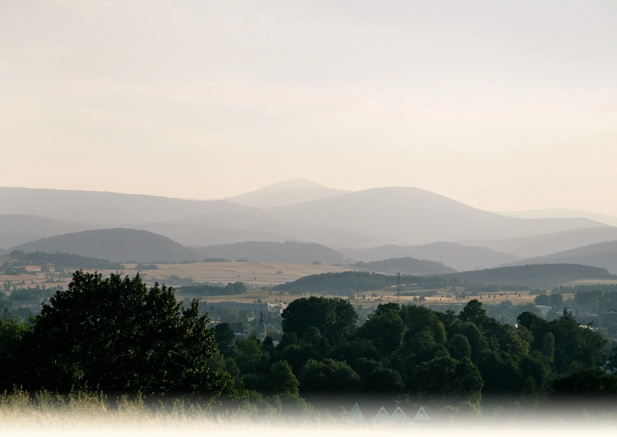 Home Rural Roots Tours