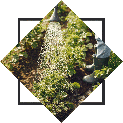 Home Rural Roots Tours