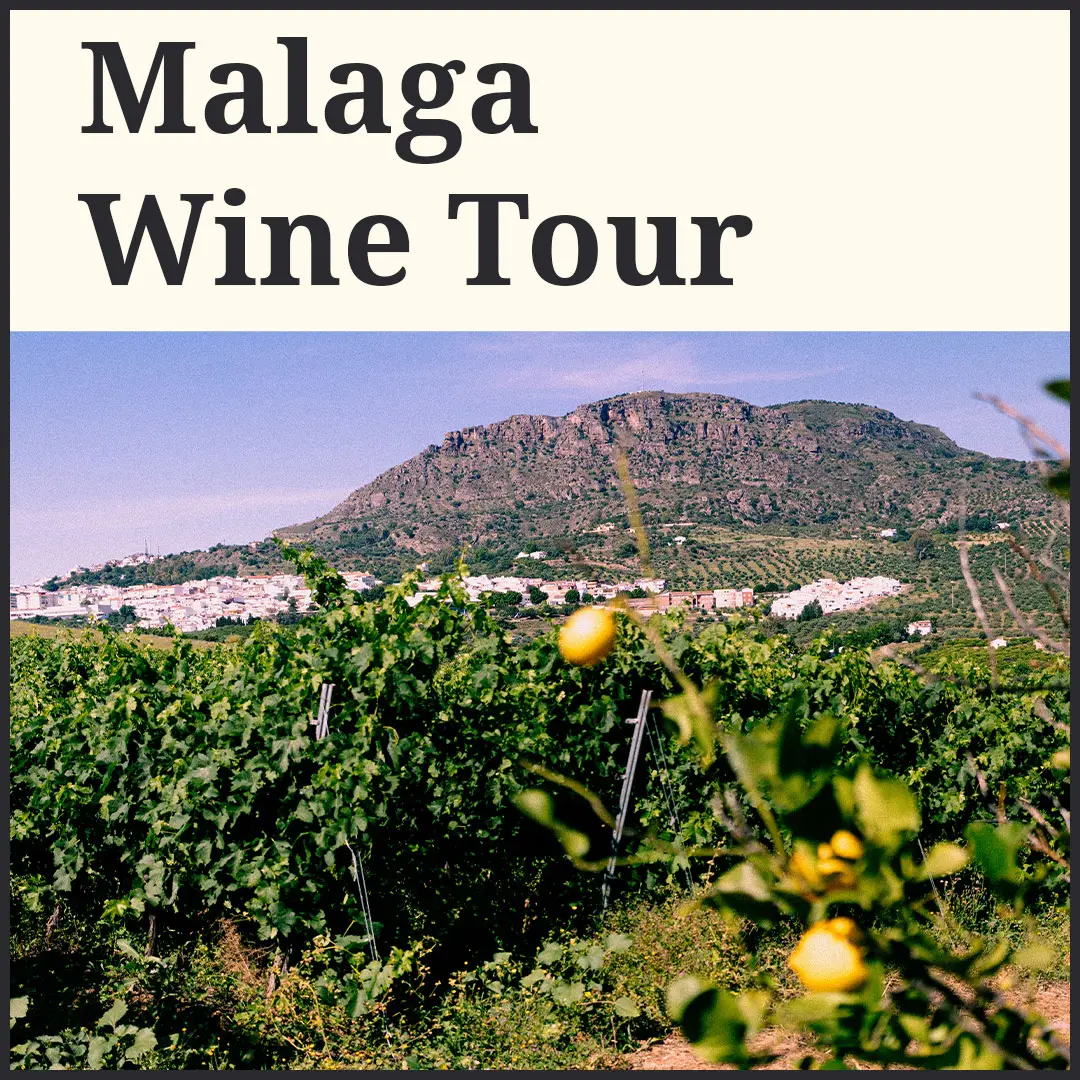 Malaga Wine Tour