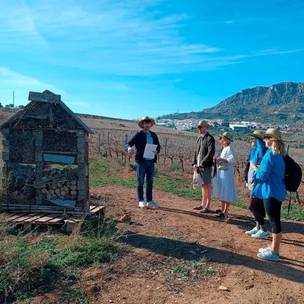 Wine tour in Malaga