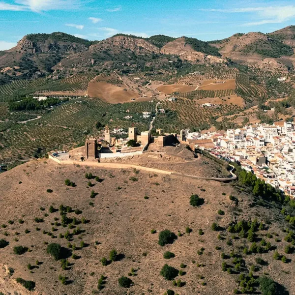 Tour in Malaga