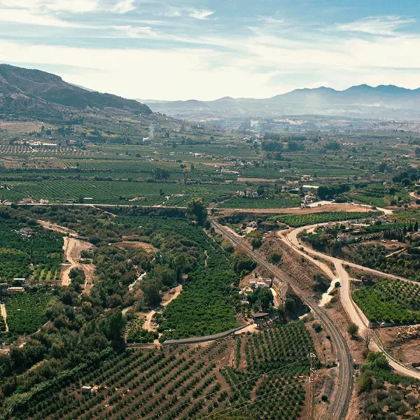 Wine tour Malaga