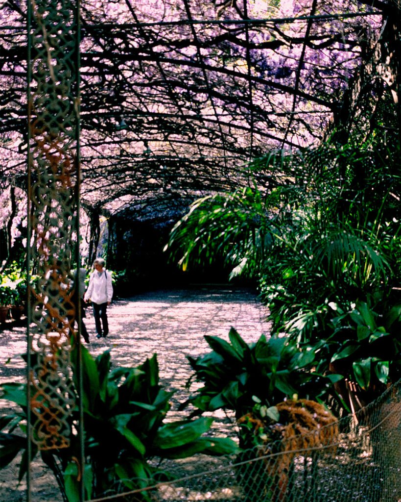 Jardín Botánico de la Concepción en Málaga