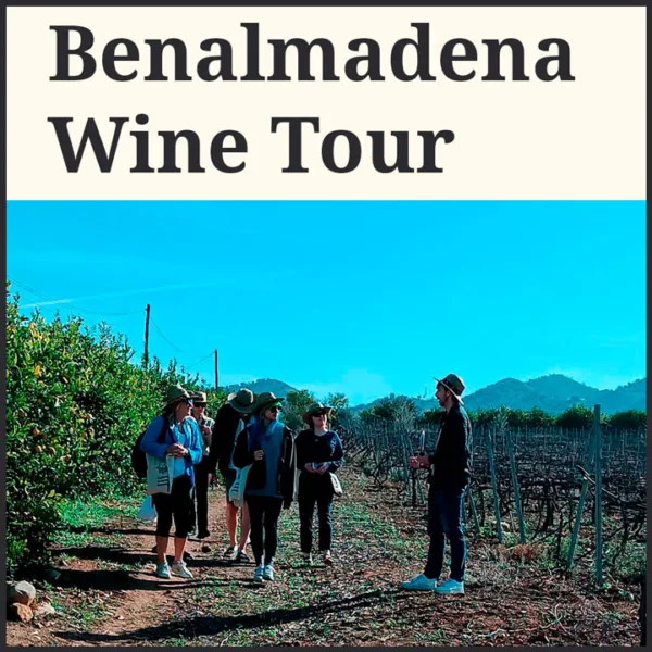 Benalmadena Wine Tasting