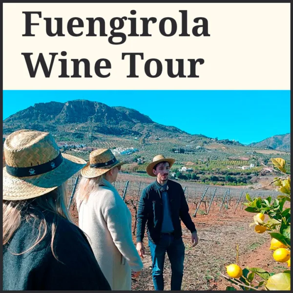 Fuengirola Wine Tasting