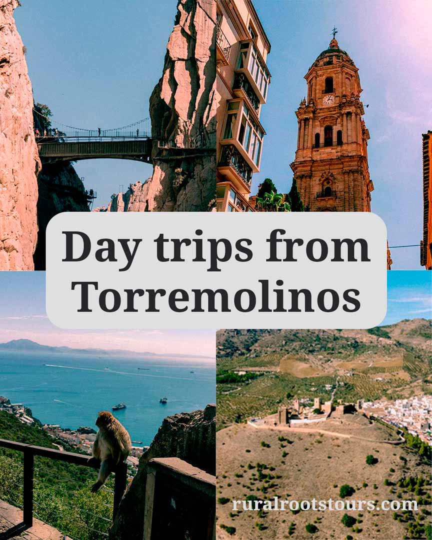 Day trips from Torremolinos