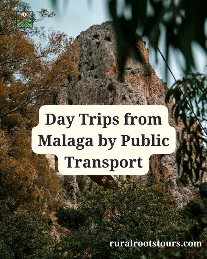 Using public transport for Day trips from Malaga