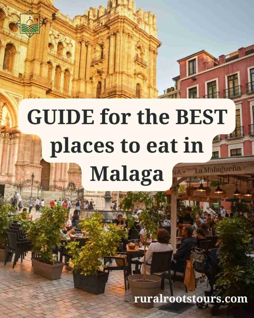 Where to eat in Malaga