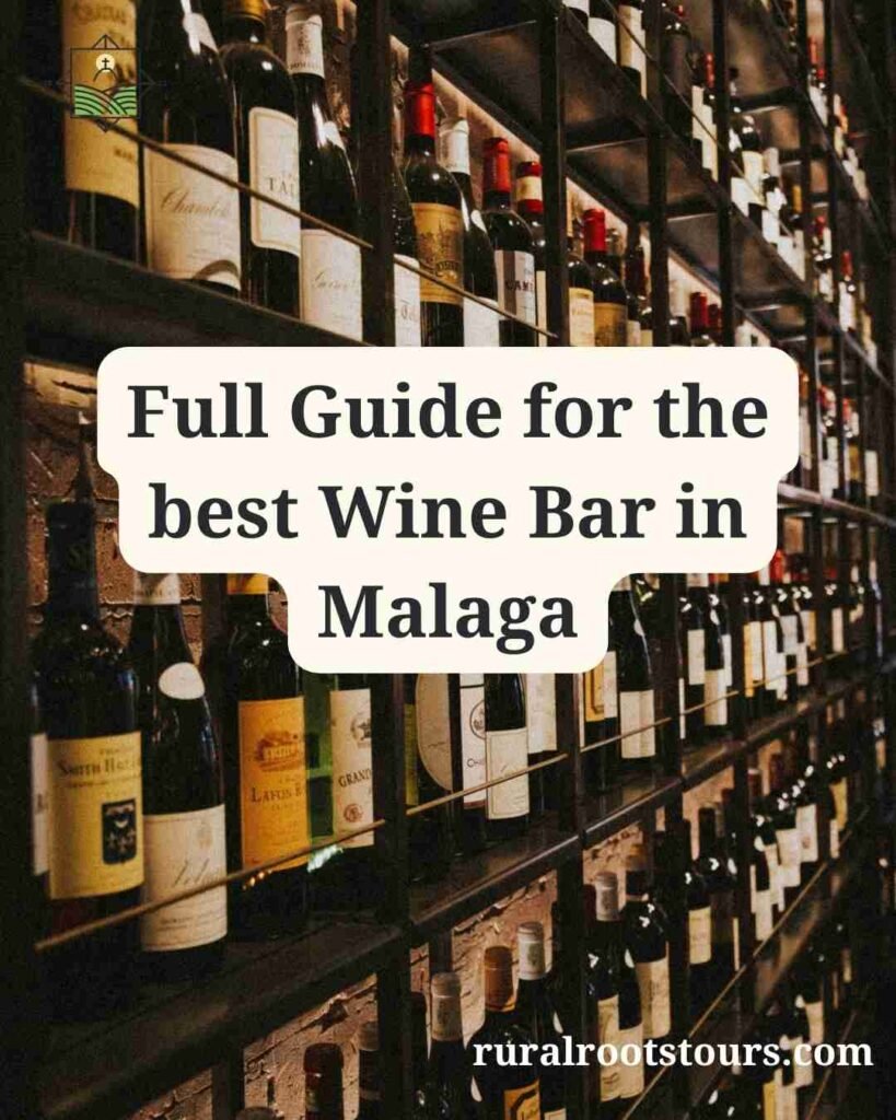 Wine bar Malaga