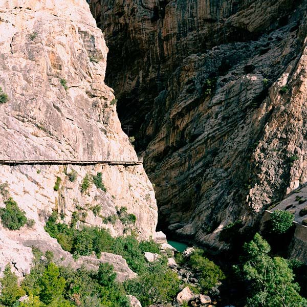 Tetouan Market full of products