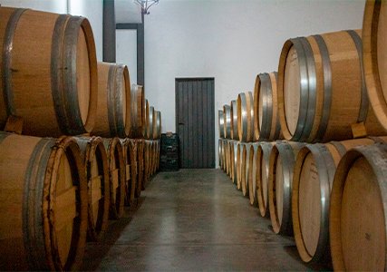 Local winery and winemakers