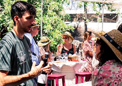 Wine tasting with local tapas