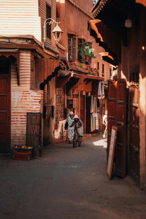 View of the port of Ceuta with a seagull in the air